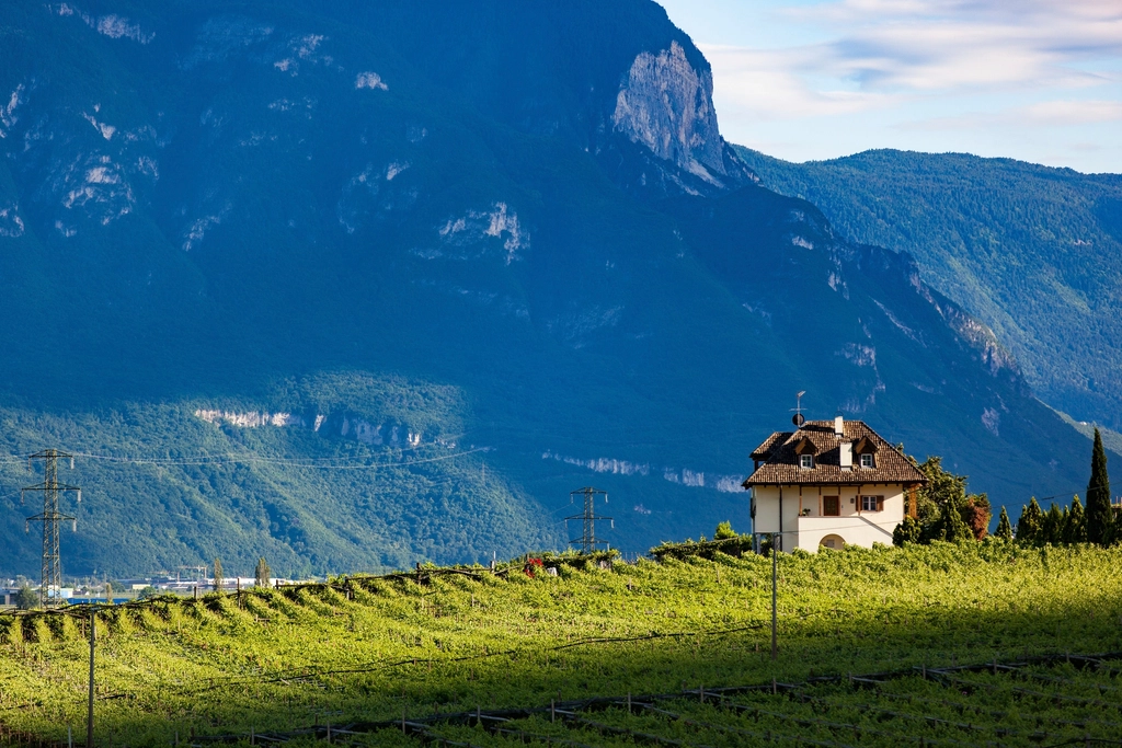Domaine des Hauts