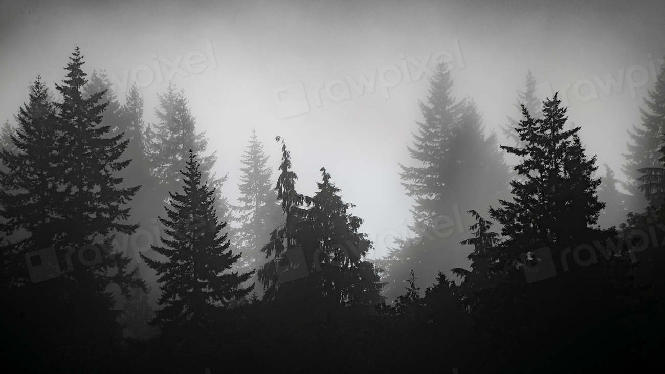 Foret